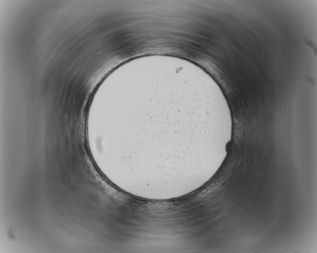 X0000102761046200809151009