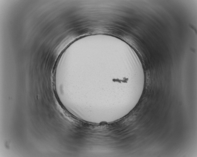 X0000102761047200809151009