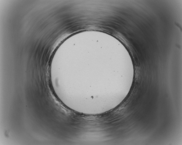 X0000102761048200809151009