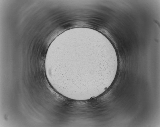 X0000102761049200809151009