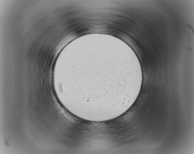 X0000102761050200809151009