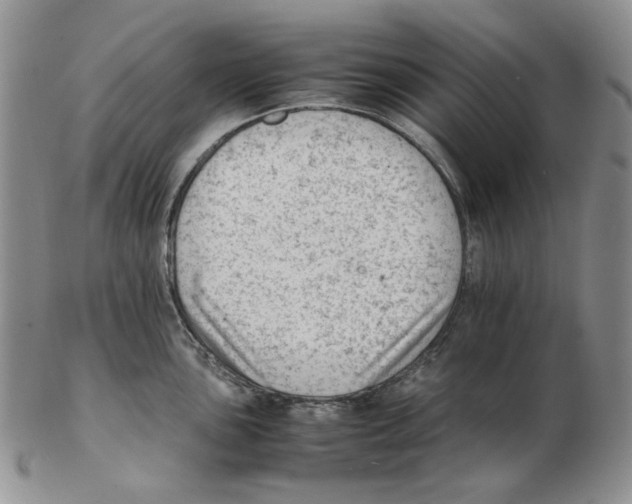 X0000102761051200809151009