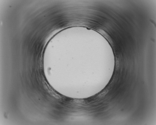 X0000102761052200809151009