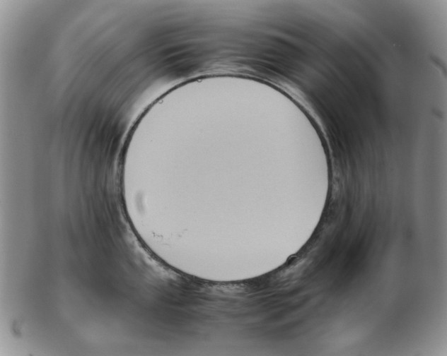 X0000102761053200809151009