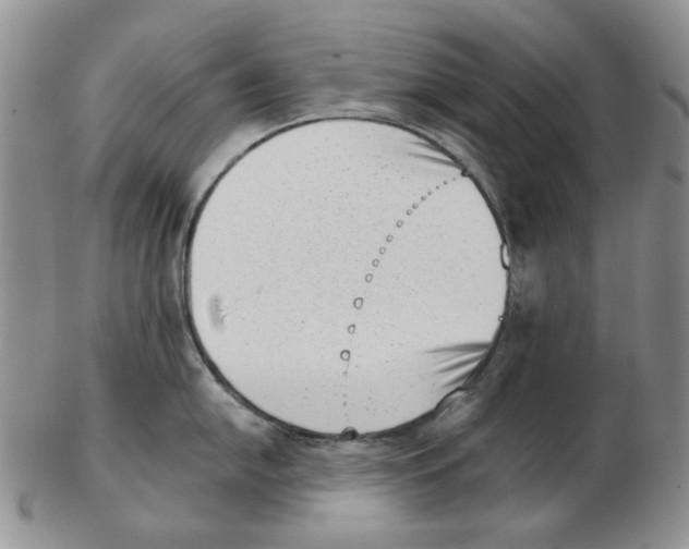 X0000102761054200809151009