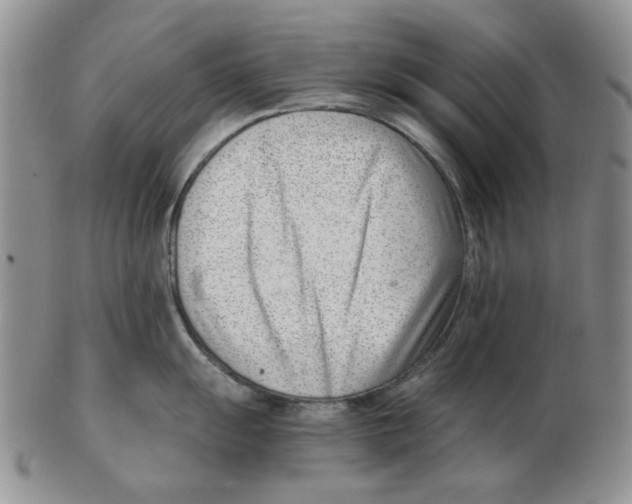 X0000102761055200809151009