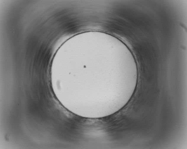 X0000102761056200809151009