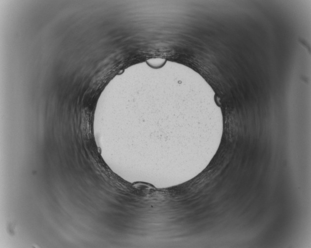 X0000102761058200809151009