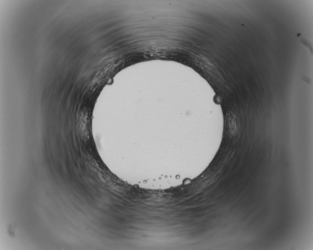 X0000102761060200809151009