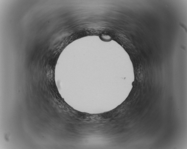 X0000102761061200809151009