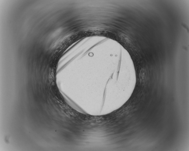 X0000102761062200809151009