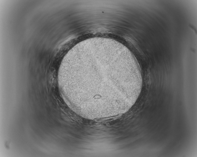 X0000102761063200809151009