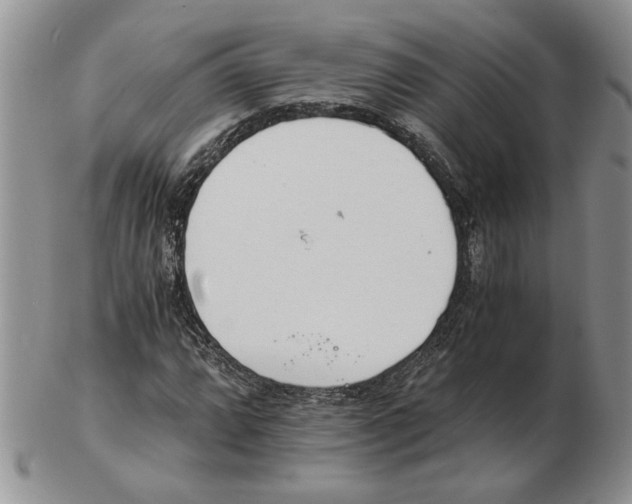 X0000102761064200809151009