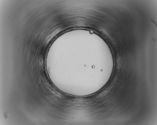 X0000102761065200809151009