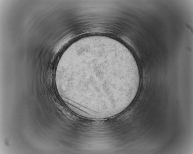 X0000102761067200809151009