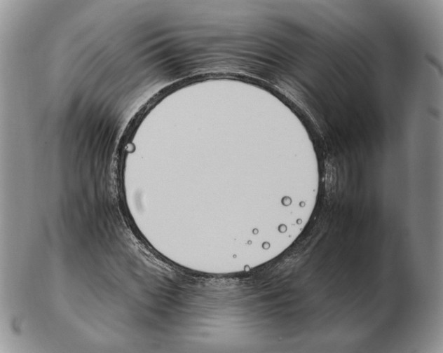 X0000102761068200809151009