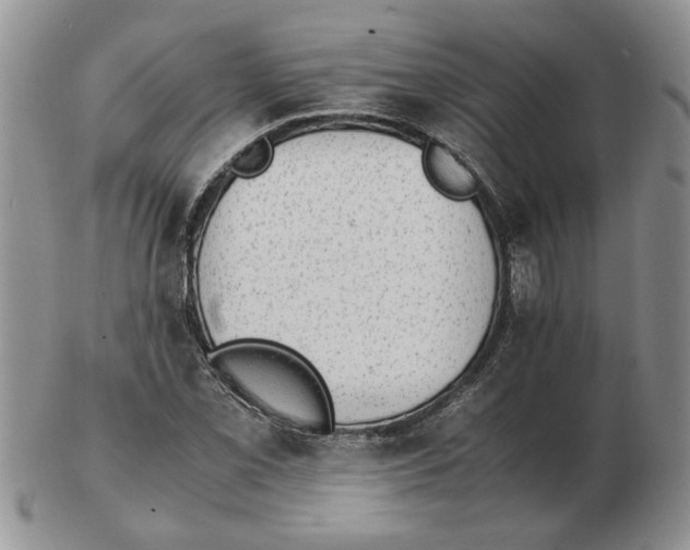 X0000102761069200809151009