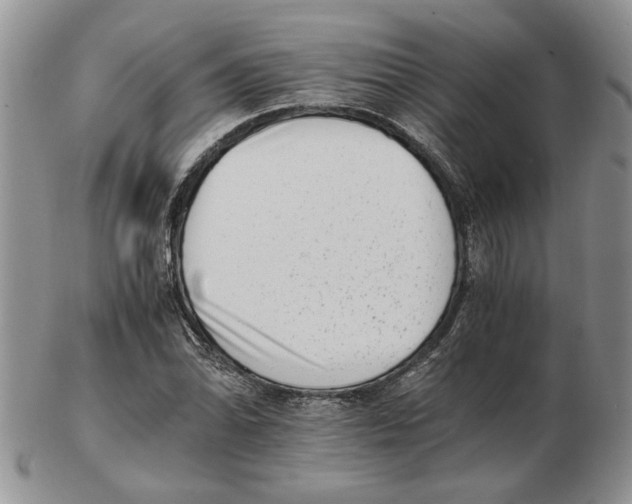 X0000102761070200809151009