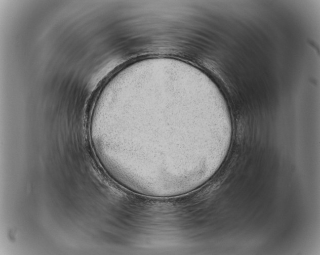 X0000102761071200809151009