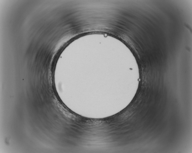 X0000102761072200809151009