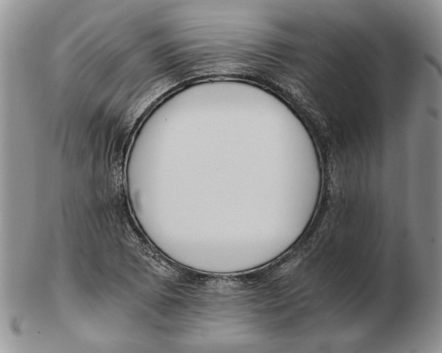 X0000102761073200809151009