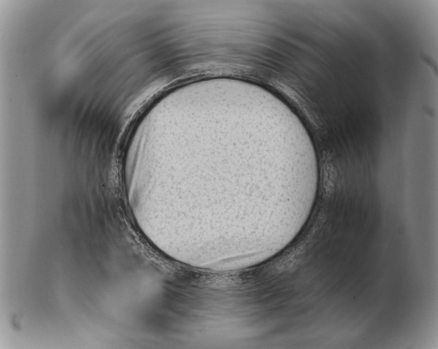 X0000102761074200809151009