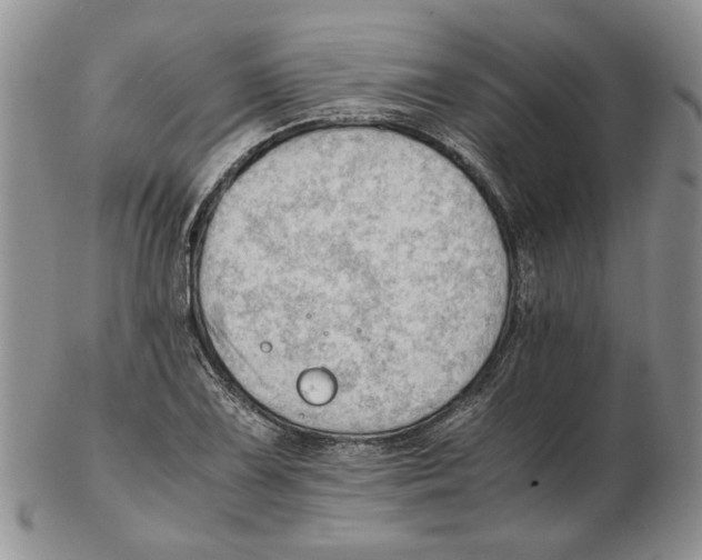 X0000102761075200809151008