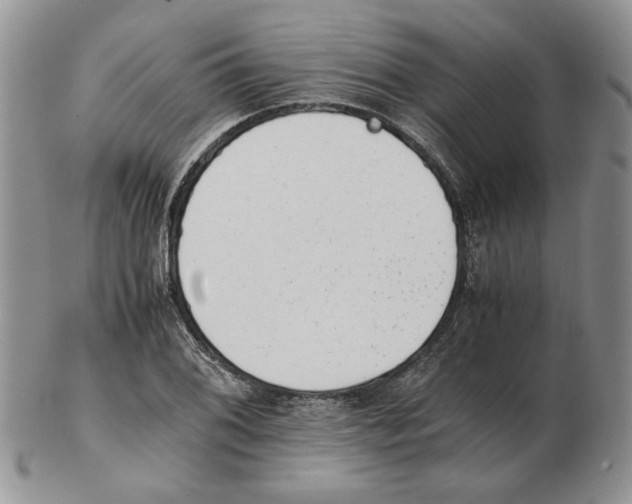 X0000102761076200809151008