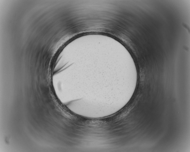 X0000102761077200809151008