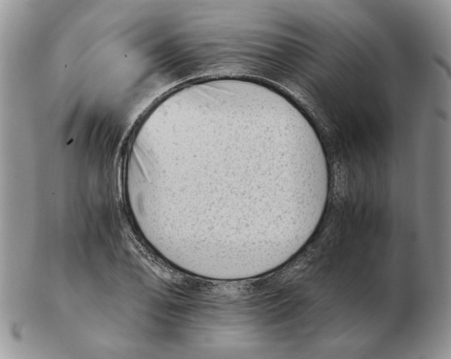 X0000102761078200809151008