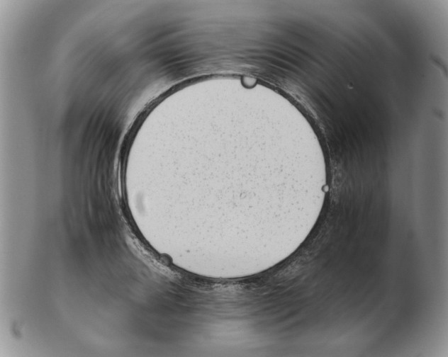 X0000102761080200809151008