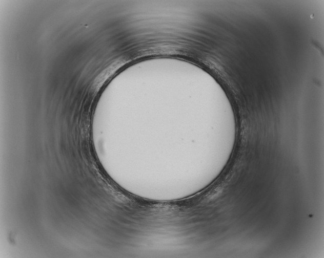 X0000102761081200809151008