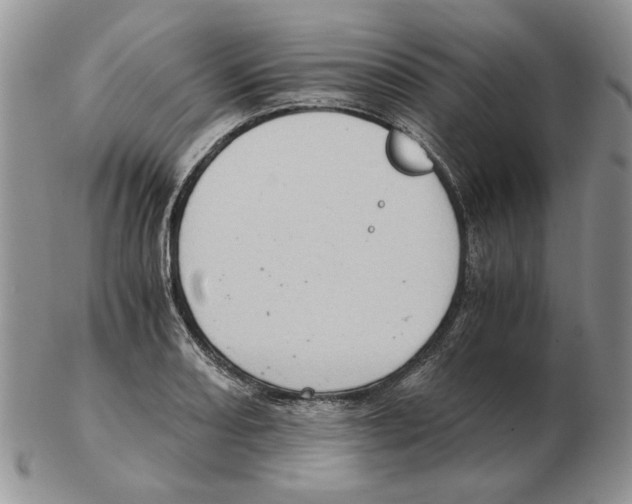 X0000102761082200809151008