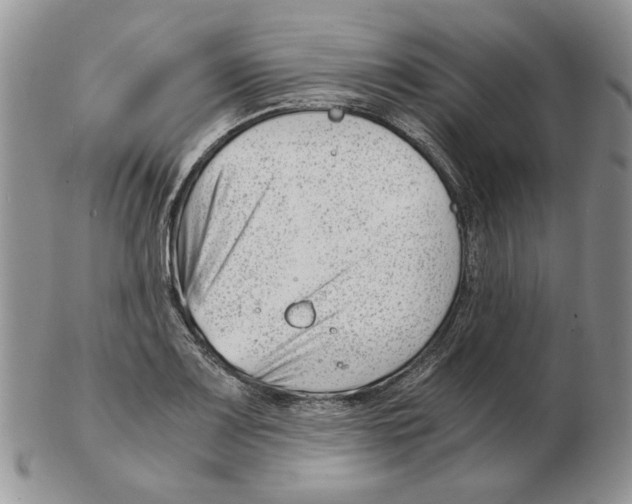 X0000102761083200809151008