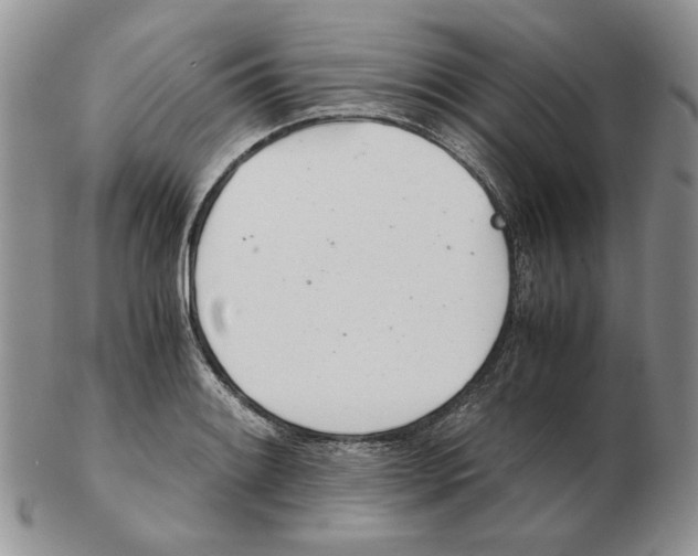 X0000102761084200809151008