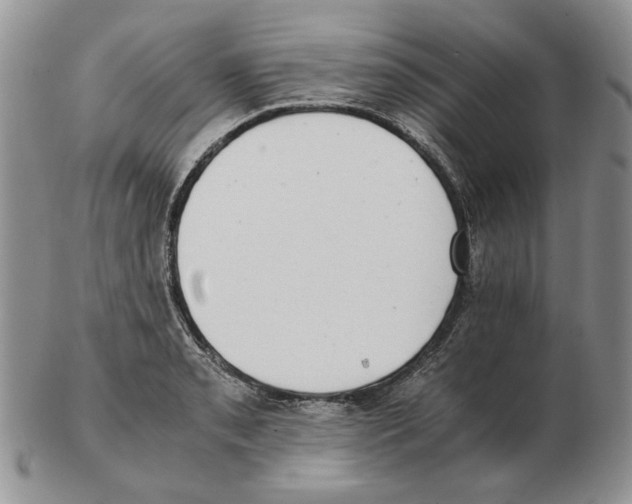 X0000102761085200809151008