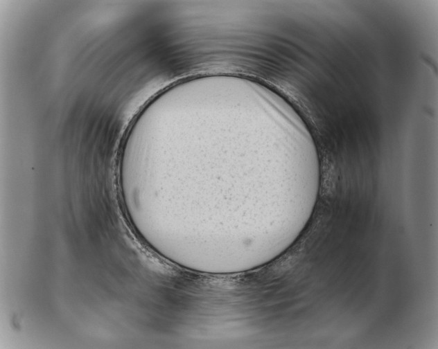 X0000102761086200809151008