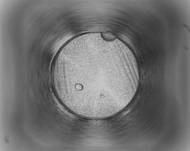 X0000102761087200809151008