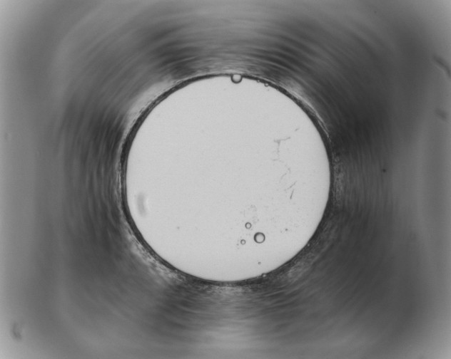 X0000102761088200809151008