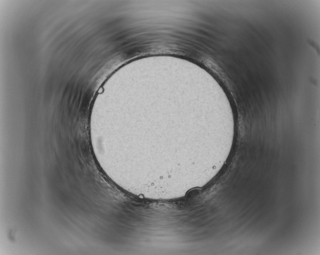 X0000102761089200809151008