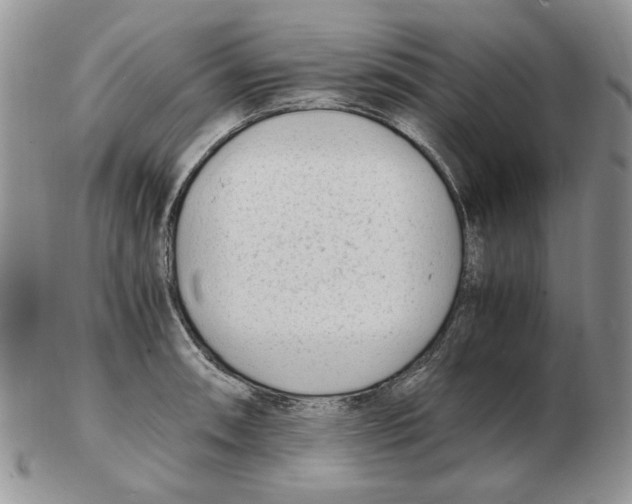 X0000102761090200809151008