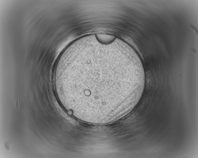 X0000102761091200809151008