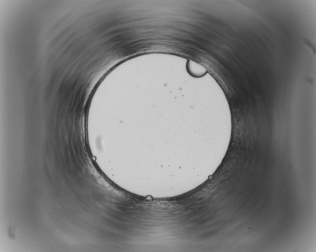 X0000102761092200809151008