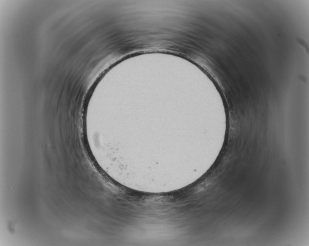 X0000102761093200809151008