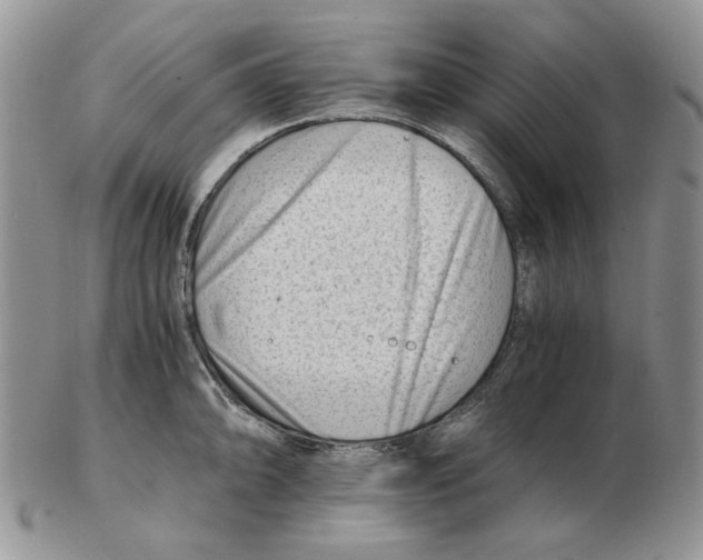 X0000102761094200809151008