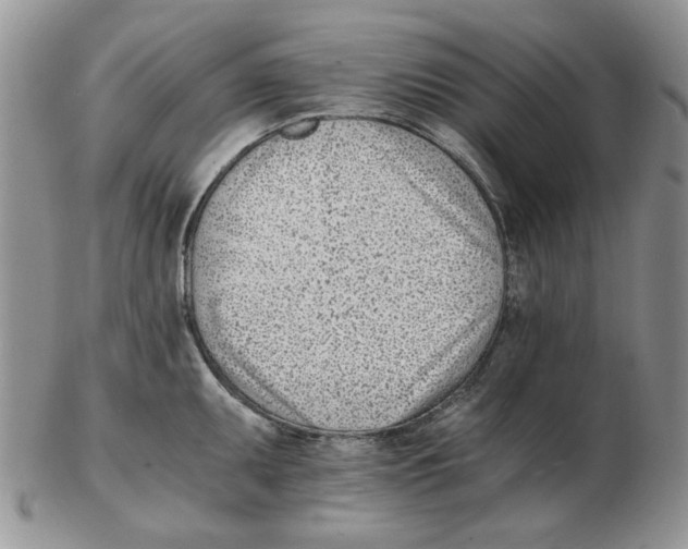 X0000102761095200809151008