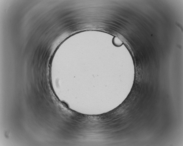 X0000102761096200809151008