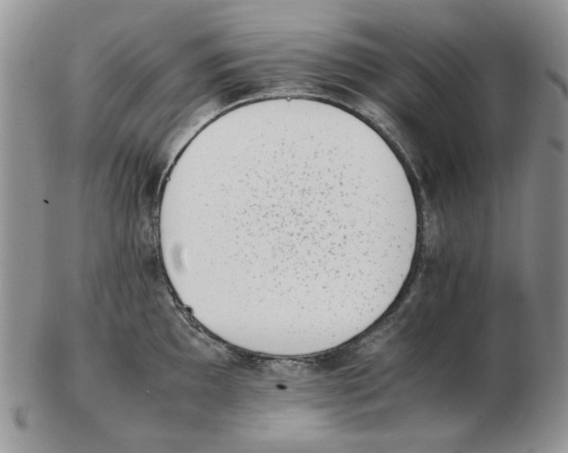 X0000102761097200809151008