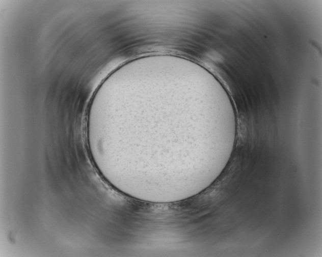 X0000102761098200809151008