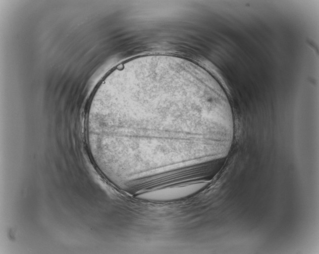 X0000102761099200809151008